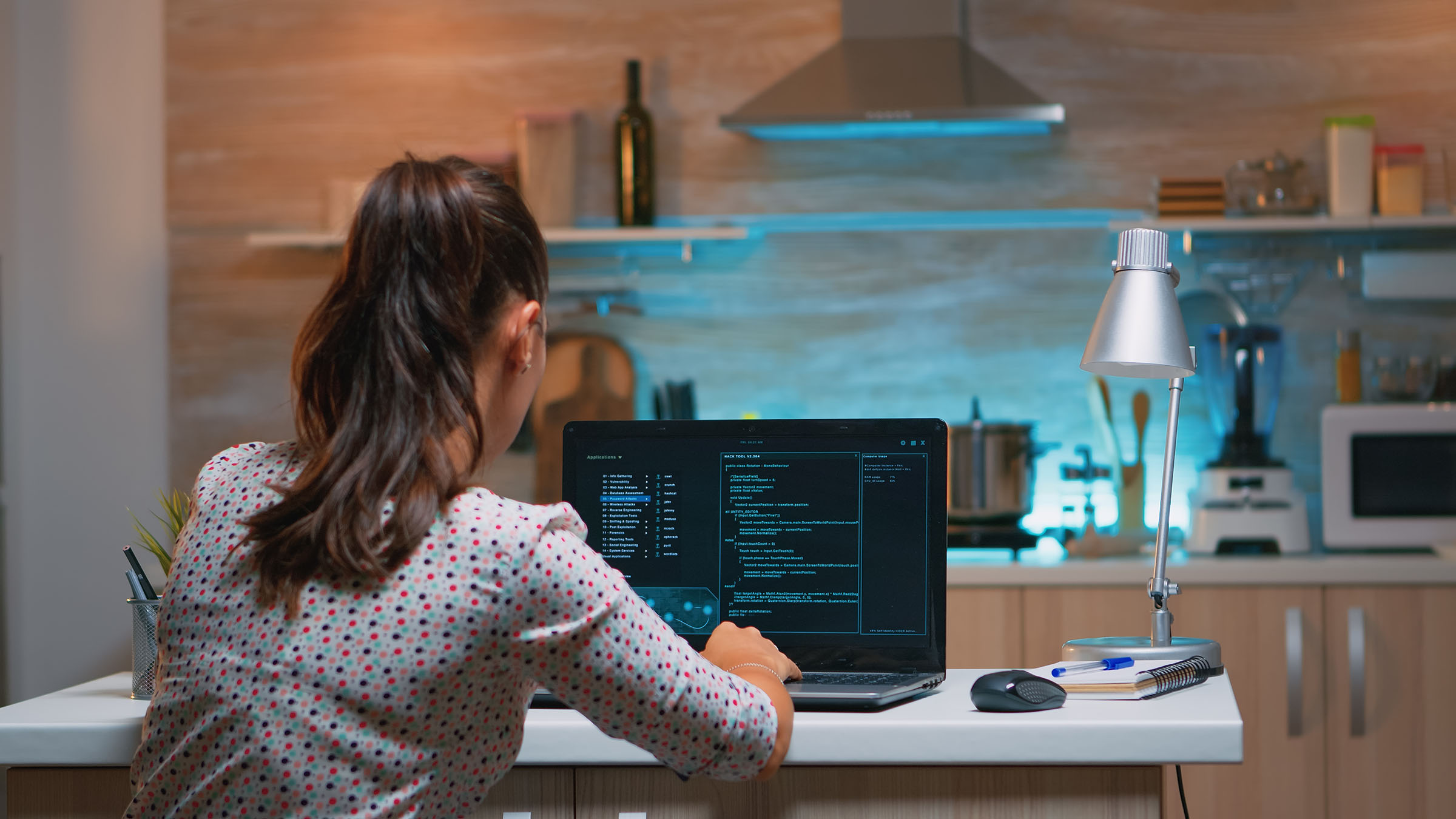 Introduction to Intrusion Systems