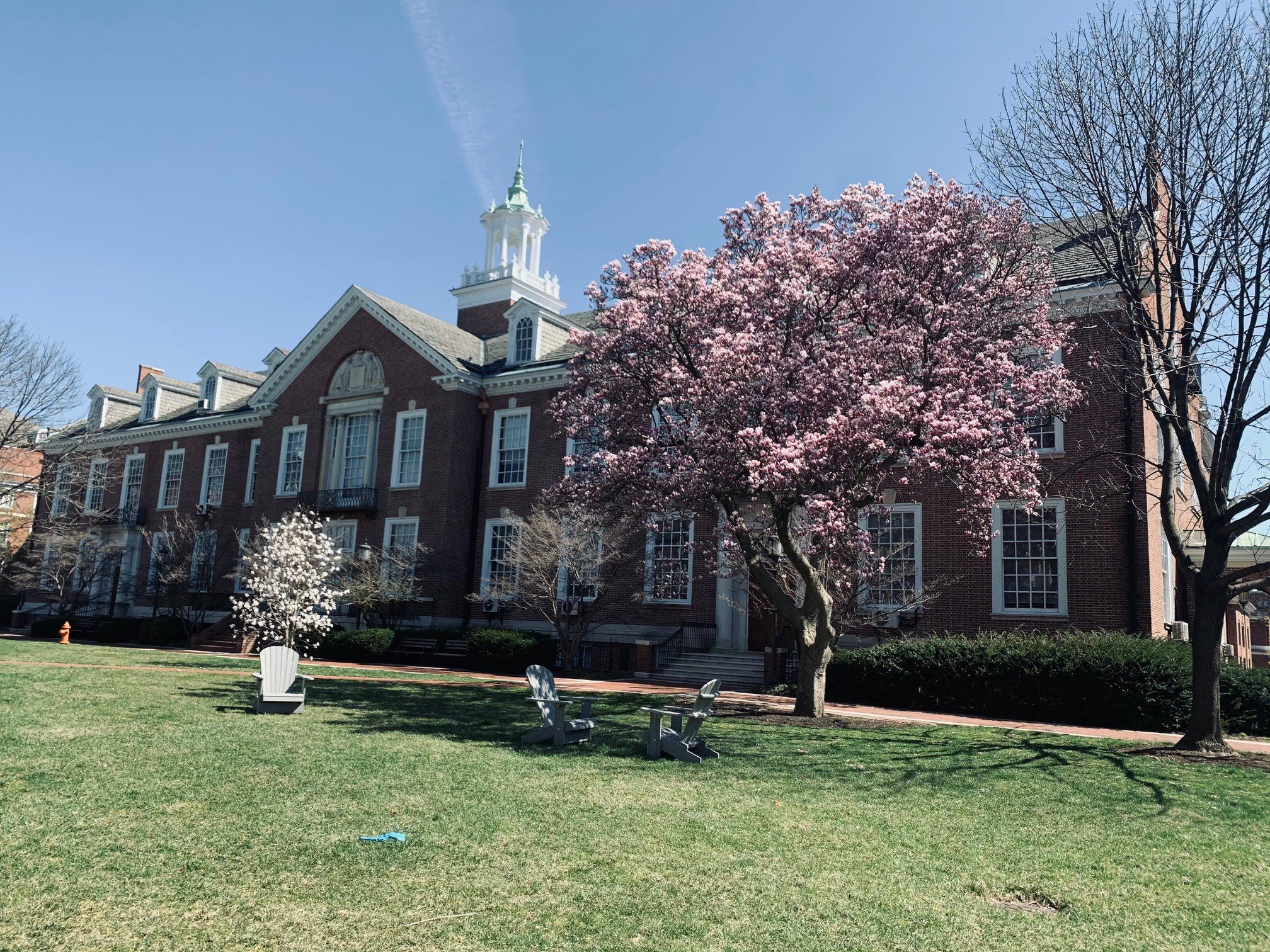 A photo of Maryland Hall on a spring day.
