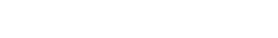 Logo Light