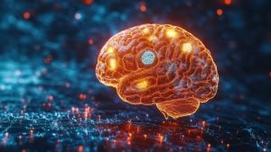 Brain, cognitive functions