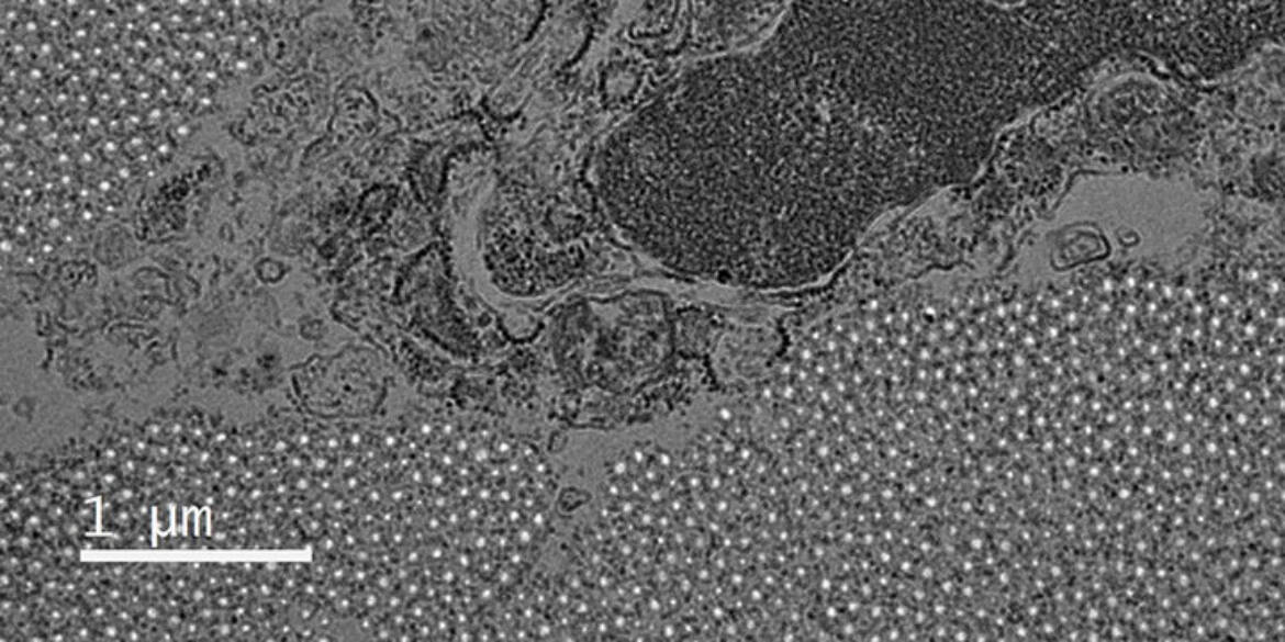 US1000XP-4000X-2970-low-res.jpg