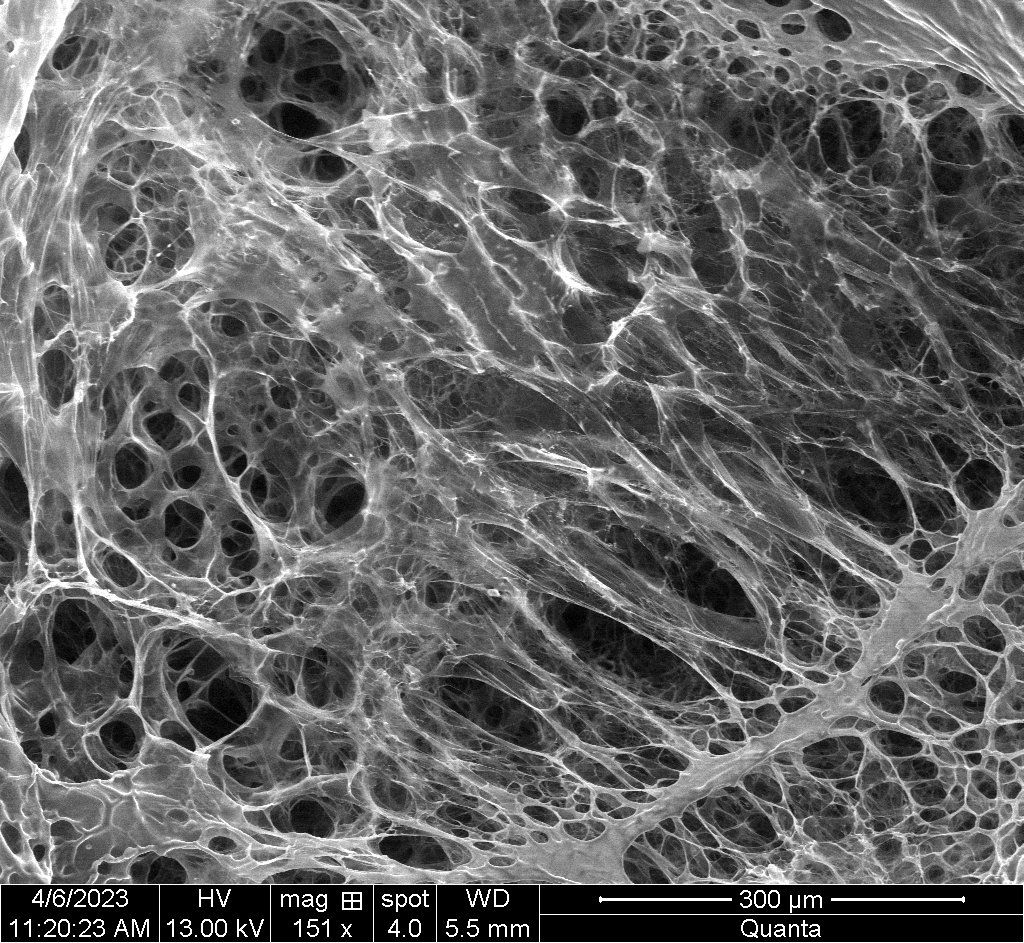 Biomaterials: Tissues, Structural Hydrogels, and Biological Crystallography