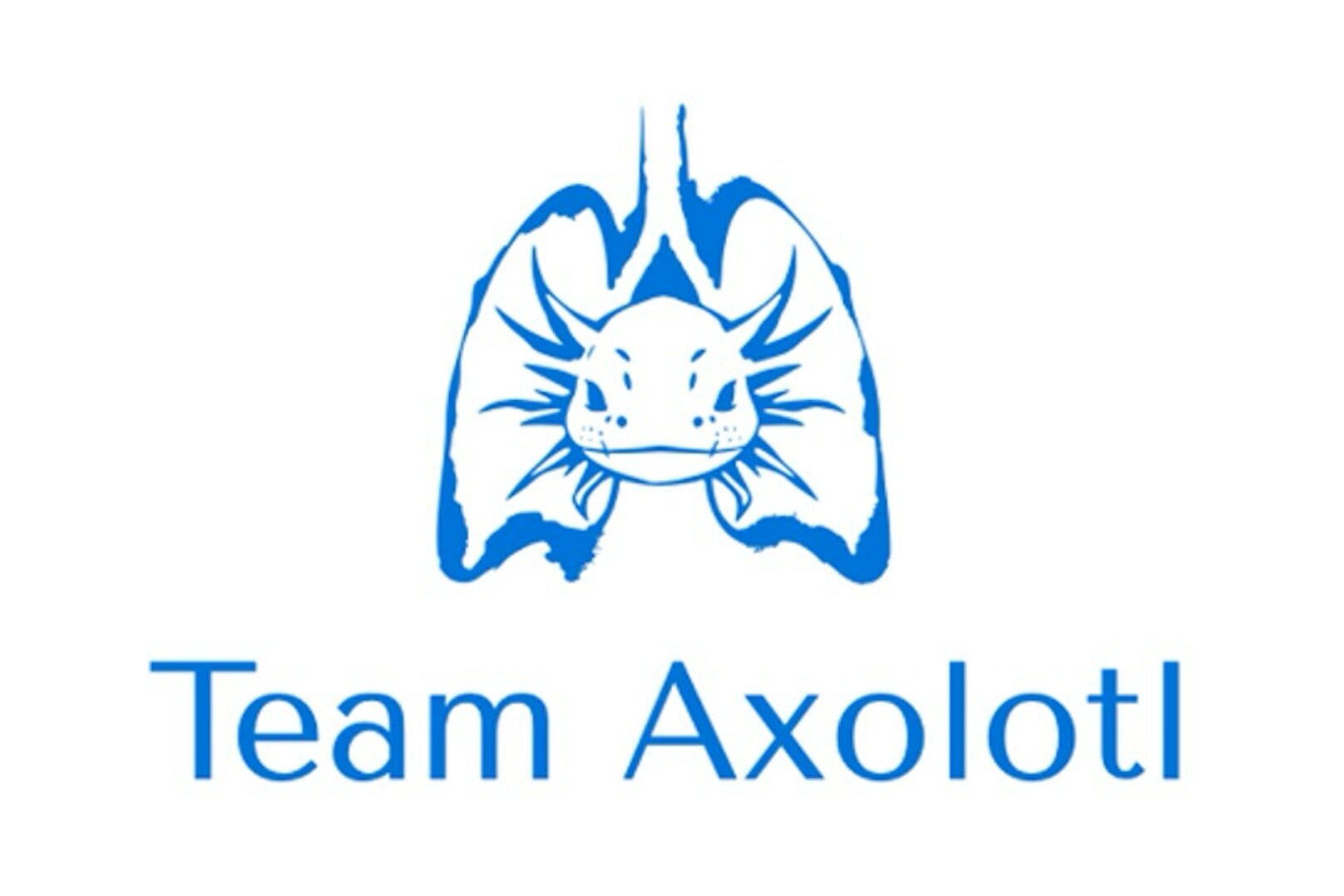 A stylized logo in blue showing an axolotl centered between two human lungs, with the axolotl’s external gills visually integrated into the branching bronchi. The design symbolizes regeneration and the connection between biological resilience and lung cancer immunotherapy that is at the core of the project.