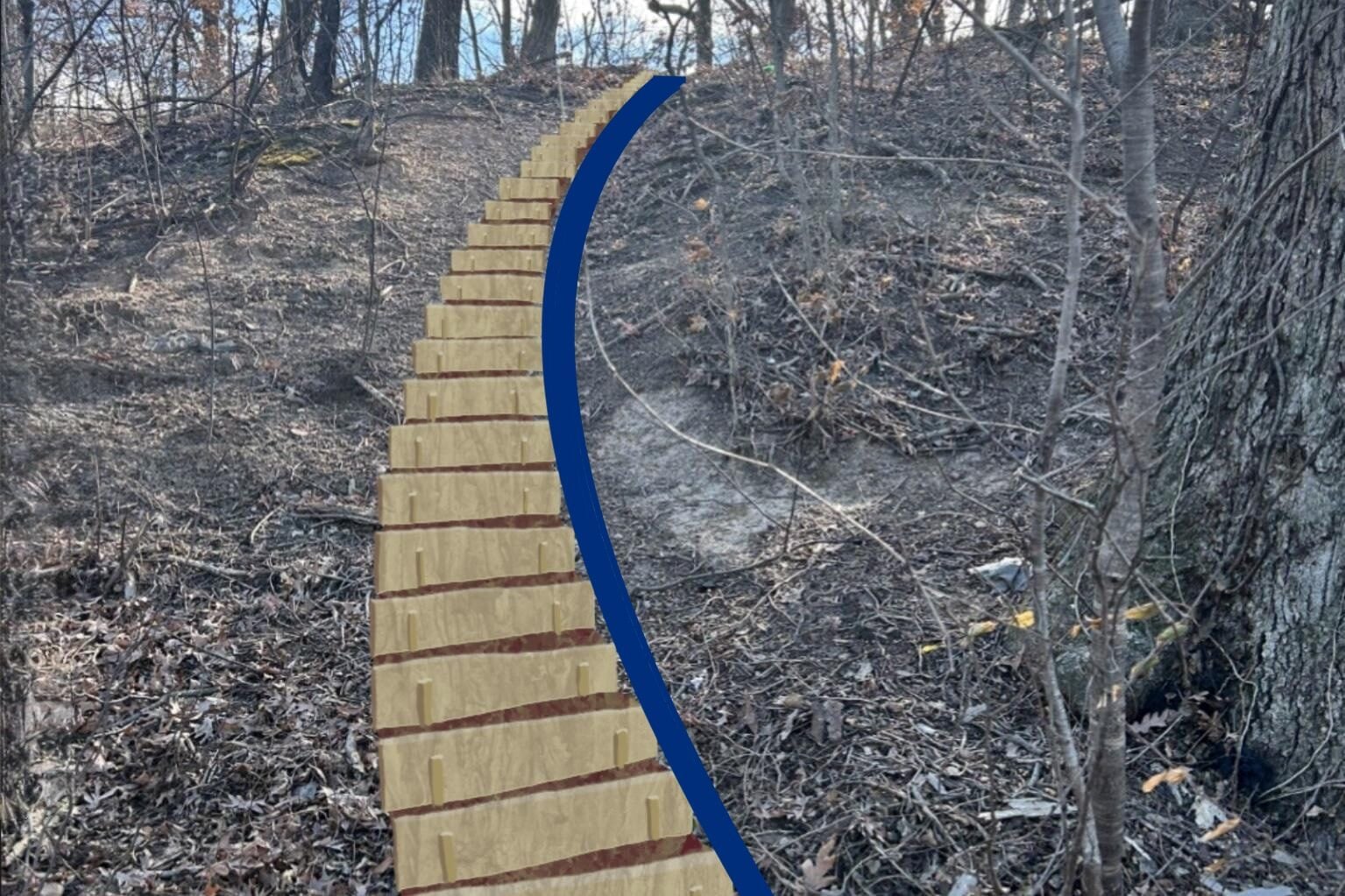 Wooden steps climb Lakeland Park’s steep forested hillside, with a shallow swale running parallel on the right to direct water away from the staircase