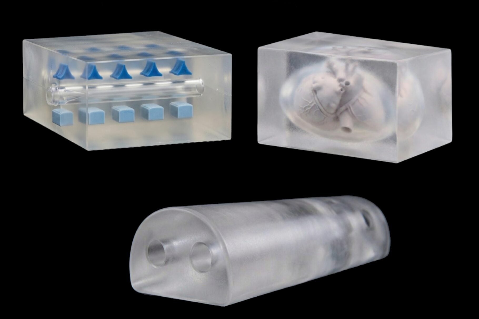 3D renderings of three phantoms against a black background. The top-left phantom contains an anatomical heart inside a clear block. The top-right shows blue shapes representing vertebrae aligned along a tube. The bottom phantom is a semi-cylindrical clear block with two parallel channels running through its length.