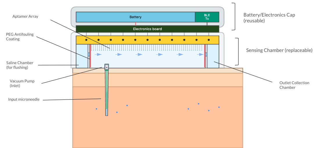 This represents a 2d cross section of the inner workings of our medical device, Cytelligence