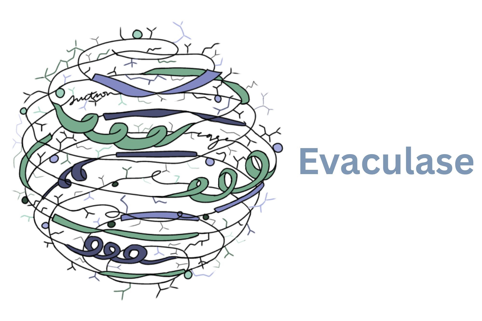 Our project logo features a spiral wire structure covered in amino acid groups to represent an enzyme, symbolizing the efficiency of our solution.