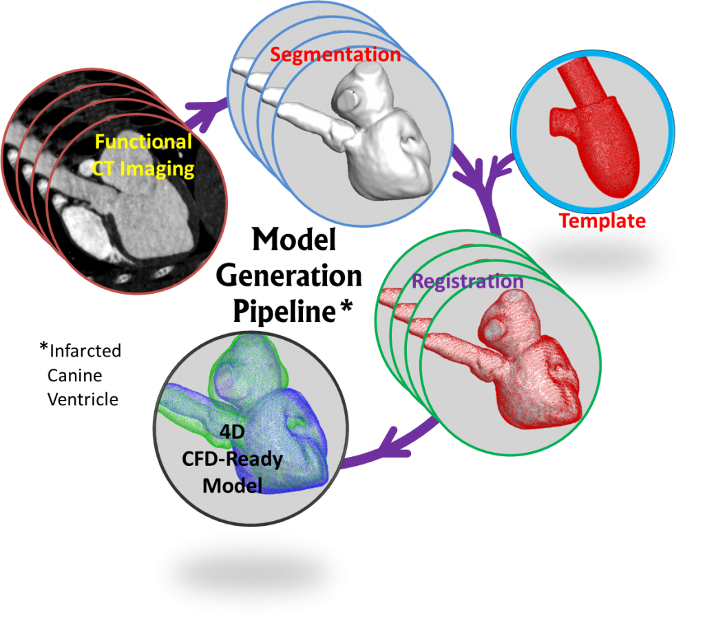 CardioVascular Flows Flow Physics and Computation Lab
