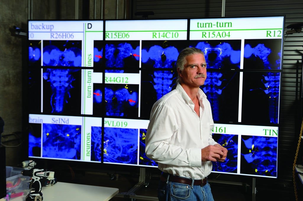 Mapping Drosophilia's Brain