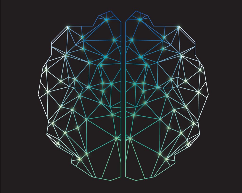 An illustration of the human brain