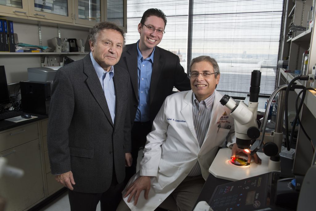 Aleksander Popel (left), Jordan Green, and Peter Campochiaro (right)