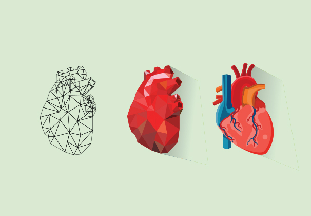 Heart