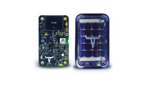 GPS-enabled tag for cattle developed by Roper