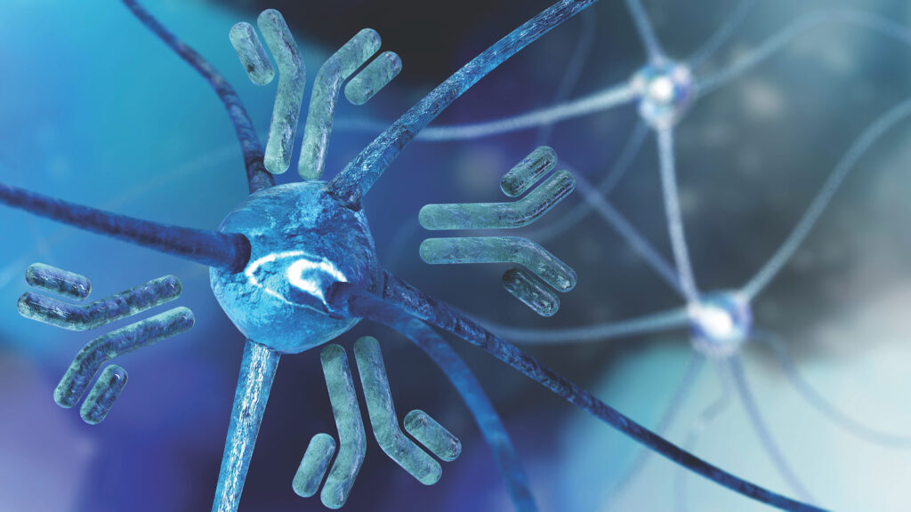Rendering of antibodies and neurons