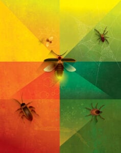 Illustration of bugs—firefly, roach, tick, fruit fly, and spider—on an orange and green background