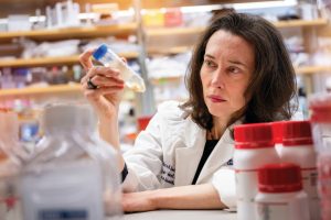Image of Jennifer Elisseeff examining the contents of a vial