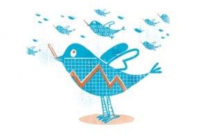 Twitter Data Birds