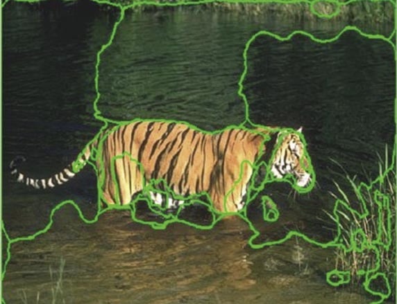 Taming a tiger image: The unsupervised learning technique René Vidal developed, called Generalized Principal Component Analysis, has wide applications, including in image segmentation based on intensity, color, and texture.