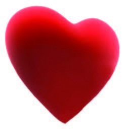 Heart