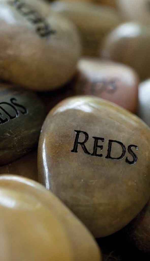 Reds_rocks