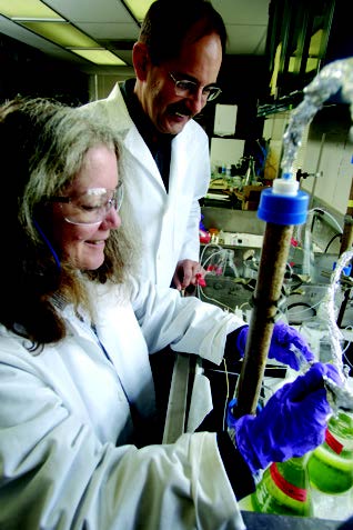 Today, many more potential chemical pollutants can be detected using advanced instrumentation. DoGEE colleagues A. Lynn Roberts and Edward J. Bouwer seek those that might have slipped under the radar.