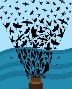 oil_spill