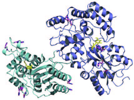 By creating protein “switches,” researchers are creating cells that respond to complex signals— technology that could advance cancer treatment.