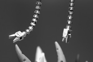 smallnimble_FOR WEB