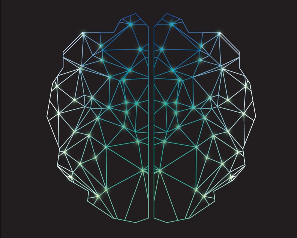 An illustration of the human brain