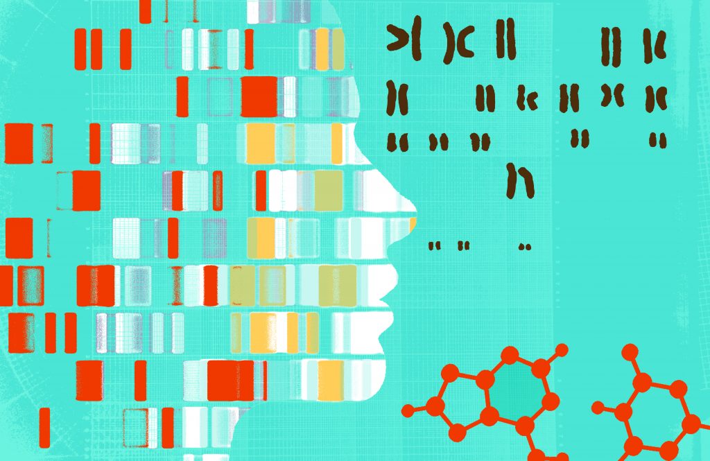 Illustration of genome
