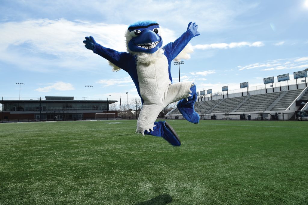 Johns Hopkins Blue Jay