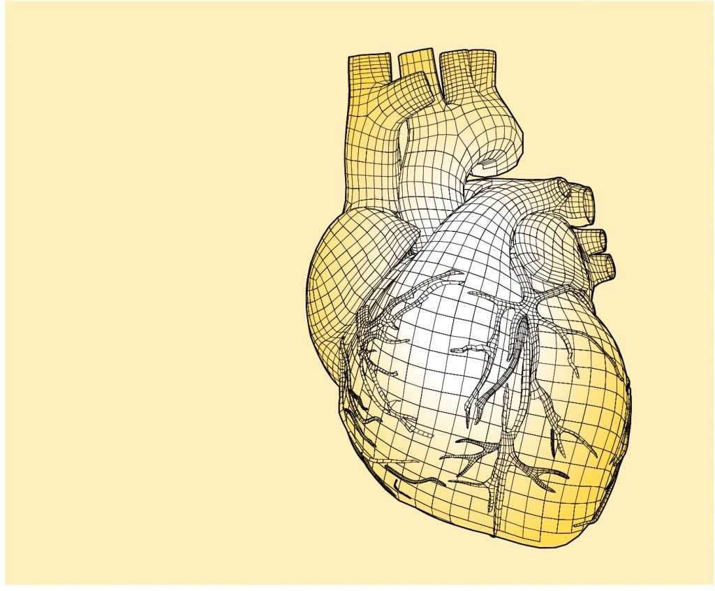 Heart