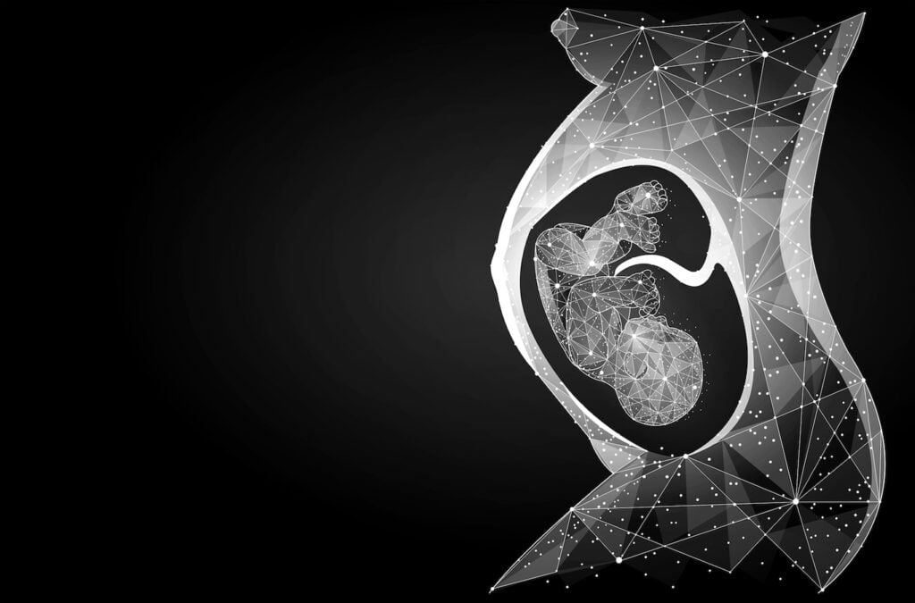 VIsualization of a fetus in the womb
