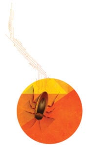 Illustration of a cockroach on an orange circular background