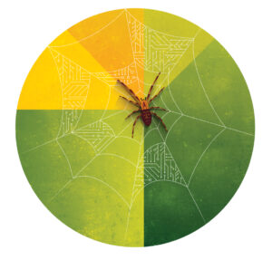 Illustration of a spider in a web on a green circular background 