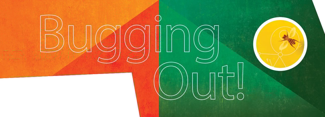Orange and green illustration for the "Bugging Out!" story with a bug in the corner