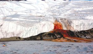 A picture of the Blood Falls seeping from the end of the Taylor Glacier into Lake Bonney.