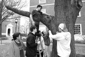 photo of students installing sensors on a tree on the Homewood campus