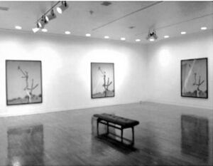 black-and-white image of an observation bench in the middle of a museum gallery