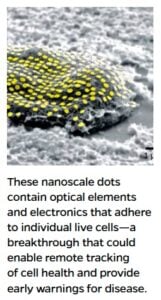 image of nanoscale dots on cells