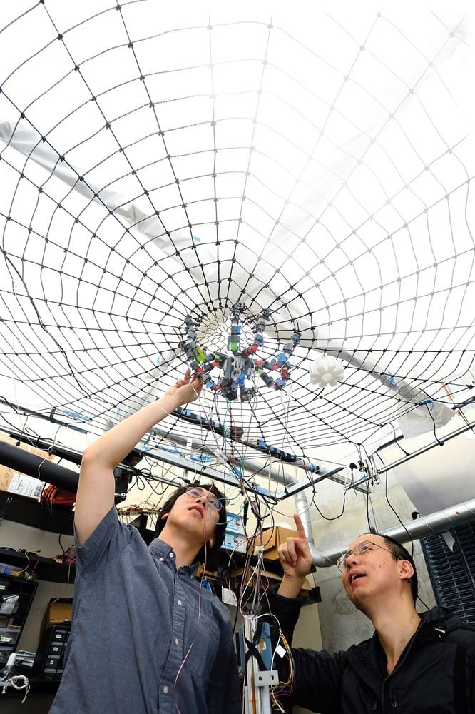 Chen Li, associate professor of mechanical engineering, and Eugene Ho-Yu Lin, graduate student underneath the web, near the spider robot