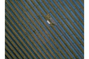 A row of solar panels