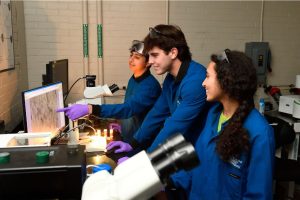 Three people around a microscope