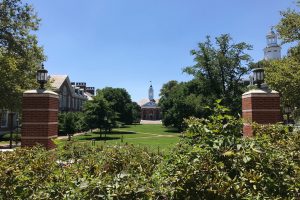 The view of the Shriver hall of the Homewood campus, through the bushes.