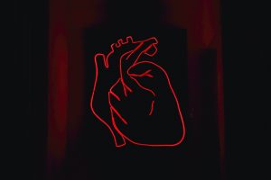 An outline of the human heart in neon red light.