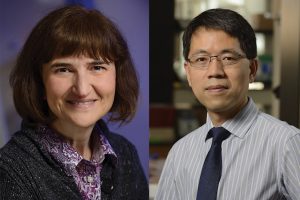 Side by side headshots of Kalina Hristova wearing a gray cardigan and Hai-Quan Mao wearing a gray striped shirt.