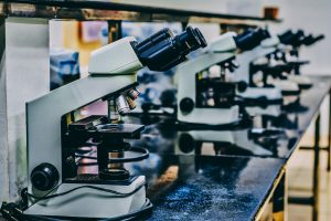 Microscopes on a counter in the laboratory.