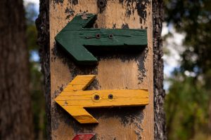 Two arrow shaped wooden blocks on a tree bark pointing towards the left.