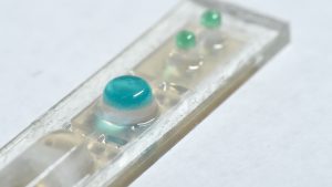 A microfluidic device JHU's Jeff Wang created for multiplex COVID-19 testing that can differentiate SARS-CoV-2 variants and other respiratory viruses.
