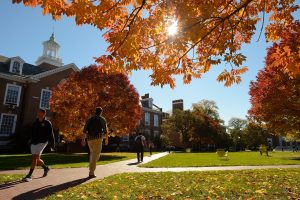 Students walking alongside the lawn outdoors of the campus on a sunny day